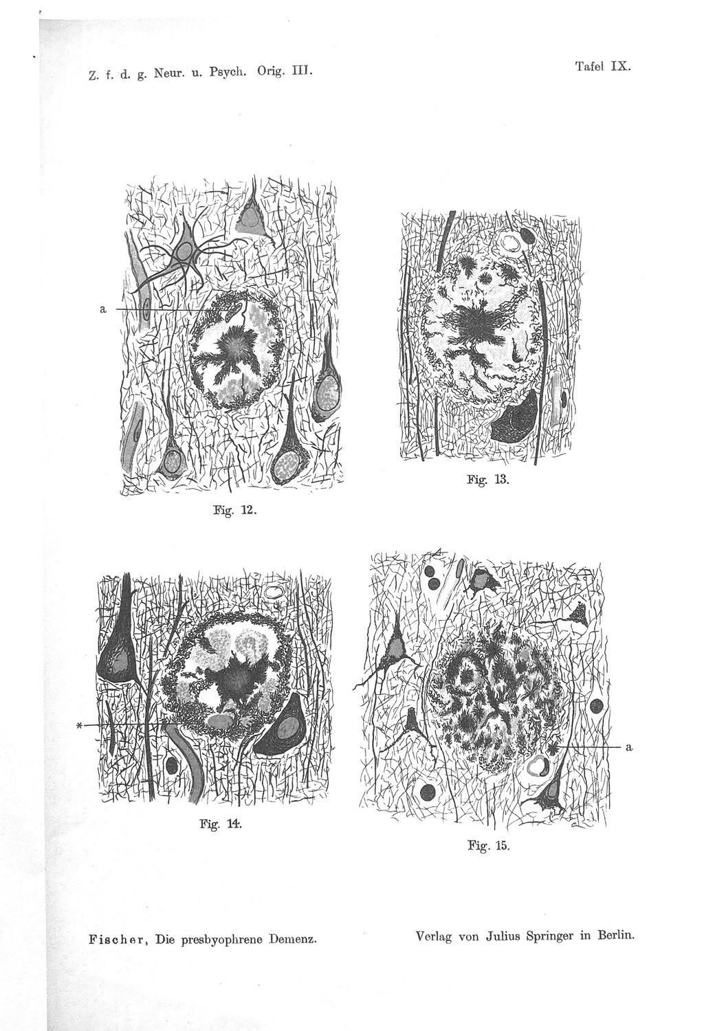 Tafel IX of the 1910 monograph